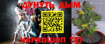 хмурый Жуковский
