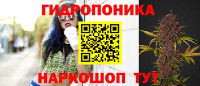 марки nbome Заводоуковск